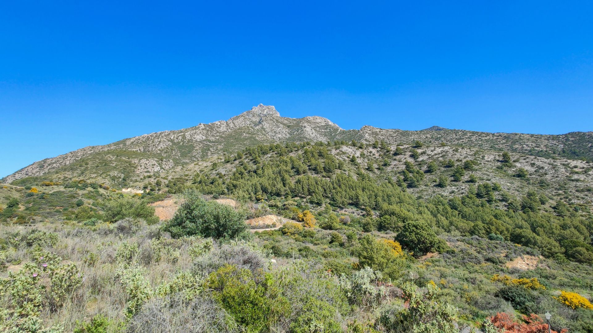 Milla de Oro, Marbella
